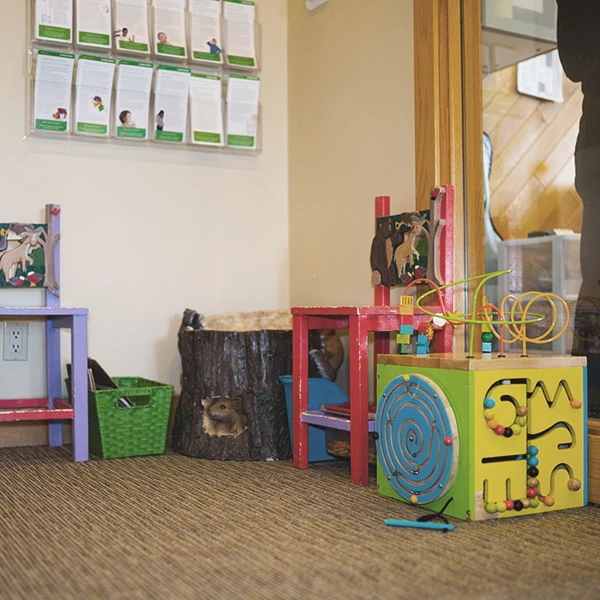 The children’s play area in the Healthy Smile waiting room